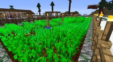Minecraft Potato/Carrot Villager Farm