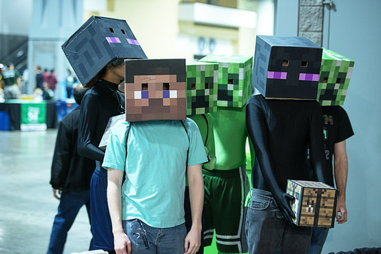 Minecraft Fans. Image via WSJ.com