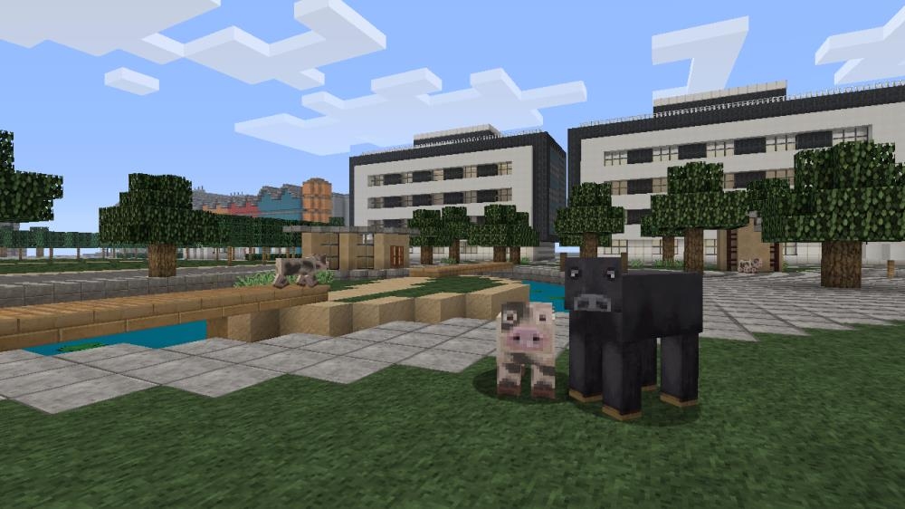 Image from Minecraft City Texture Pack (Trial)