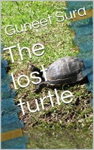 the-lost-turtle